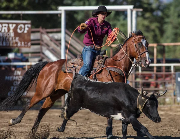 Steer Roping Händelse Scott Valley Pleasure Park Rodeo Etna Kalifornien — Stockfoto