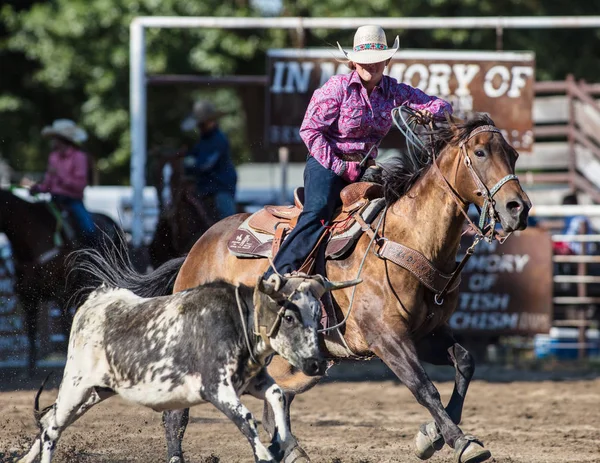 Steer Roping Händelse Scott Valley Pleasure Park Rodeo Etna Kalifornien — Stockfoto
