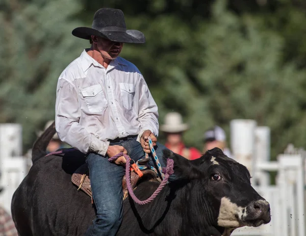 Rodeo Akcji Scott Dolina Przyjemność Park Rodeo Etna California Lipca — Zdjęcie stockowe