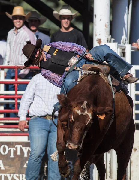 Scott Vadisi zevk Park Rodeo Etna, Kaliforniya'da Rodeo eylem. 29 Temmuz 2017 