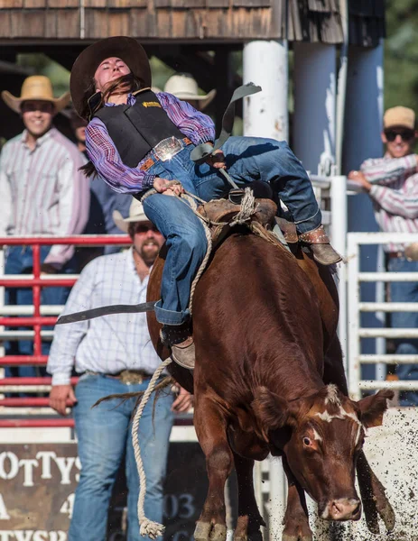 Scott Vadisi zevk Park Rodeo Etna, Kaliforniya'da Rodeo eylem. 29 Temmuz 2017 