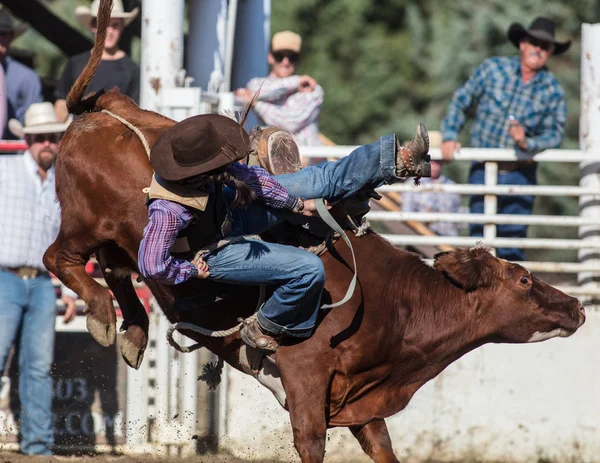 Scott Vadisi zevk Park Rodeo Etna, Kaliforniya'da Rodeo eylem. 29 Temmuz 2017 