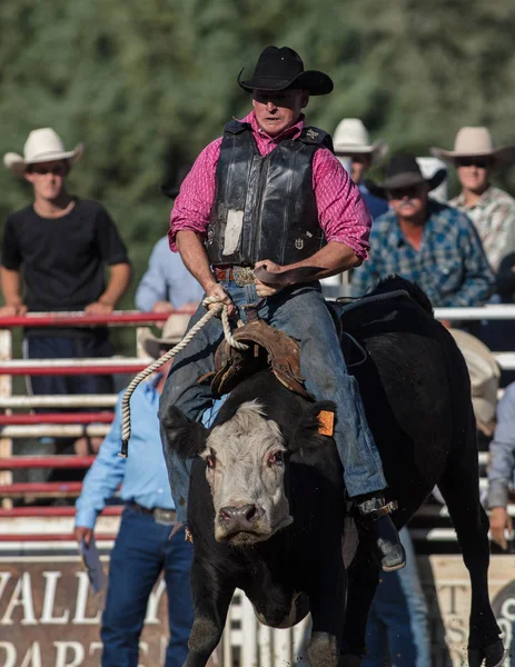 Rodeo Action Freizeitpark Scott Valley Ätna Kalifornien Juli 2017 — Stockfoto