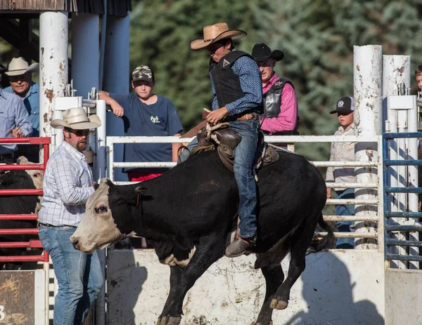 Rodeo eylem 29 Temmuz 2017 Scott Vadisi zevk Park Rodeo Etna, Kaliforniya,.