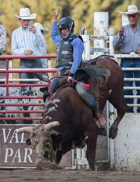 Scott Vadisi Bull Rider
