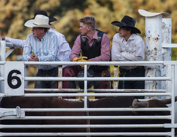 Jovens Cowboys Assistindo Ação Rodeio Scott Valley Pleasure Park Rodeo — Fotografia de Stock