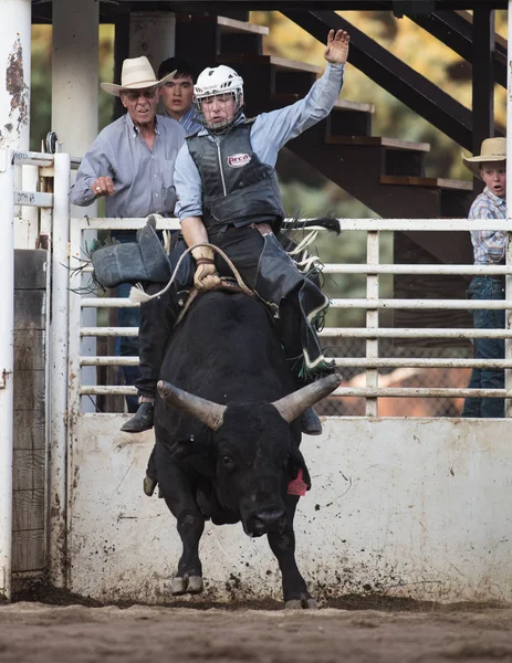 Des hauts et des bas de Bull Riding — Photo