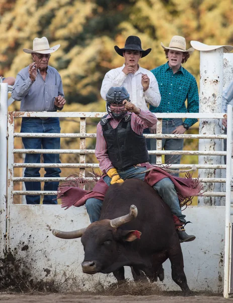 Hard Riding Cowboy — Stock Photo, Image