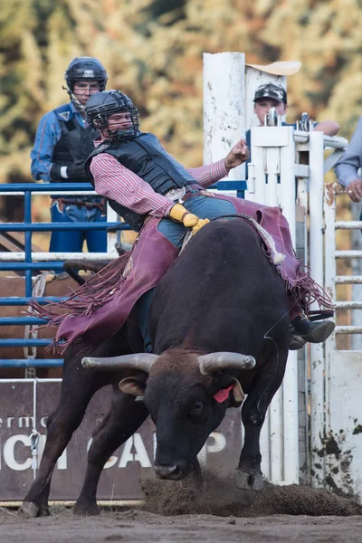 Bullenreiten Cowboy — Stockfoto