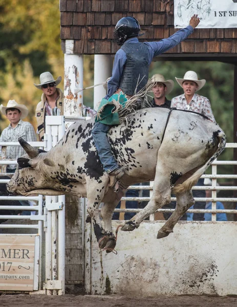 Yüksekten uçuyor binici