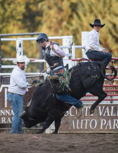 Eğlenceli sürme boğa