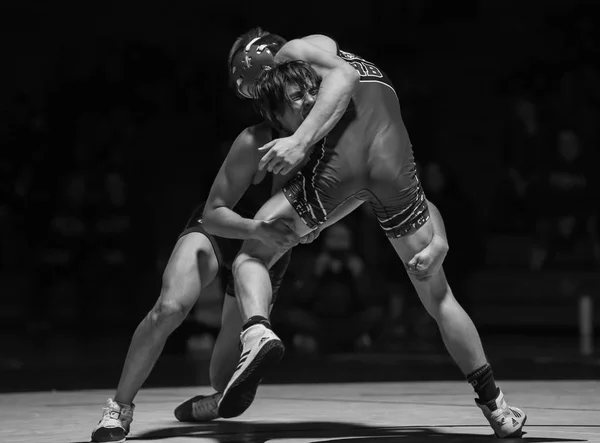 Wrestlers Wrestling Action Red Bluff Foothill High School Spotlight Palo — Photo