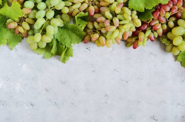 üzüm nazik bir mavi zemin üzerine meyveli düzeni