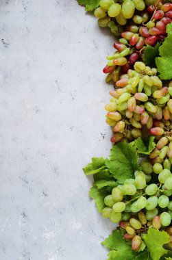 üzüm nazik bir mavi zemin üzerine meyveli düzeni