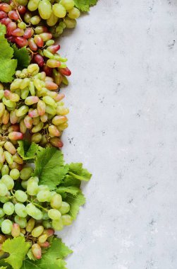 üzüm nazik bir mavi zemin üzerine meyveli düzeni