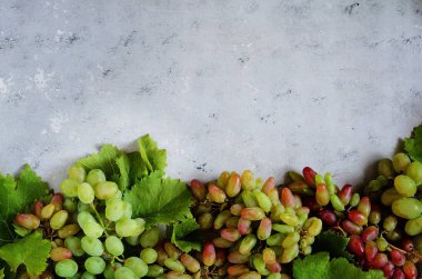 üzüm nazik bir mavi zemin üzerine meyveli düzeni