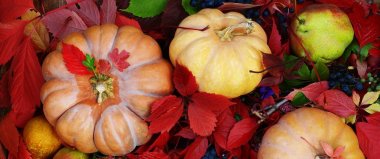 Kabak elma üzüm ve güzel sonbahar kompozisyon bırakır