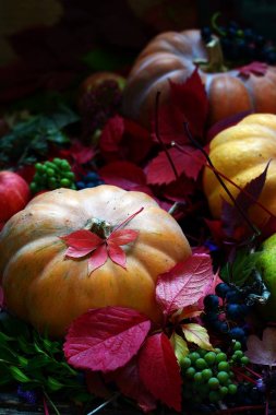 Kabak elma üzüm ve güzel sonbahar kompozisyon bırakır