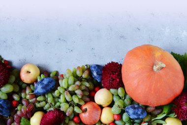 Üzüm, elma, Erik, çilek ve kabaklar meyve pasta ile dokusal arka plan