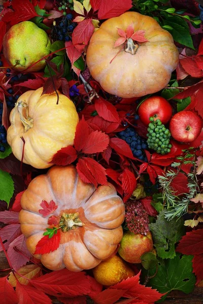 Composición de otoño de manzanas de calabaza de uvas y hojas hermosas — Foto de Stock