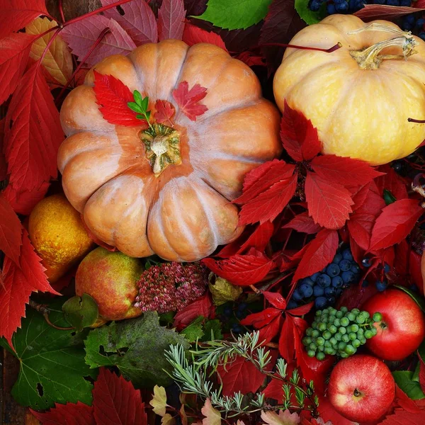 Kabak elma üzüm ve güzel sonbahar kompozisyon bırakır