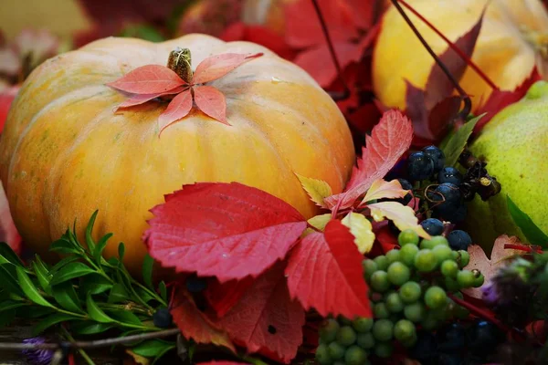 Kabak elma üzüm ve güzel sonbahar kompozisyon bırakır