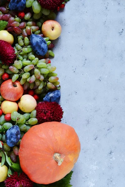 Üzüm, elma, Erik, çilek ve kabaklar meyve pasta ile dokusal arka plan