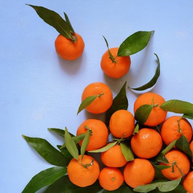 Olgun mandalina gri bir arka plan üzerinde. Meyve düzeni. Narenciye.