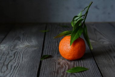 Olgun mandalina gri bir arka plan üzerinde. Meyve düzeni. Narenciye. Karanlık fotoğraf