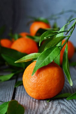 Olgun mandalina gri bir arka plan üzerinde. Meyve düzeni. Narenciye. Karanlık fotoğraf