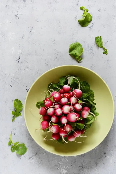 Rabanete Jovem Pão Legumes Frescos Primavera Salada — Fotografia de Stock