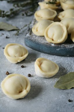 Köfte ile mavi bir arka plan el yapımı domuz. Ulusal Gıda. Stoklar. Mantı