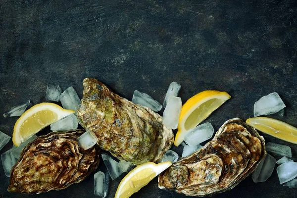 Ostras Mediterráneas Sobre Fondo Oscuro Con Rodajas Hielo Limón Delicias — Foto de Stock