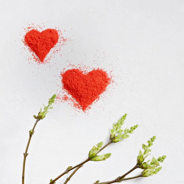 Fond Saint Valentin Coeur Composé Miettes Rouges Sur Fond Blanc — Photo