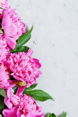  Bir sürü pembe renkli şakayık buketi yakın plan. Düz yerde, üst tarafta. Şakayık çiçeği dokusu. Gri arkaplanda mor şakayıklar, boşluğu kopyala.