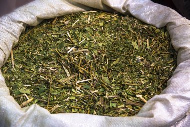 yerba mate çayı