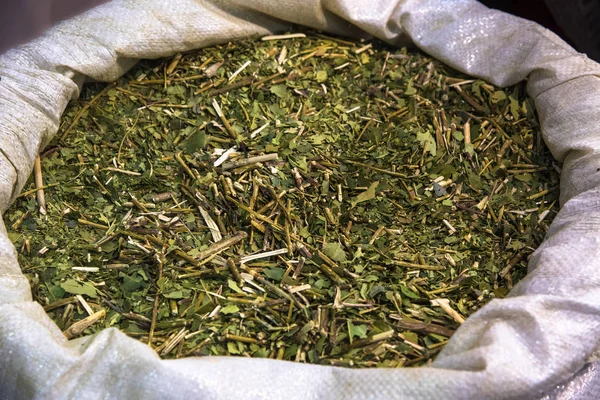 Yerba maté thee — Stockfoto