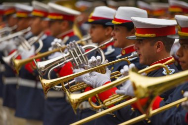 Arjantin askeri grup