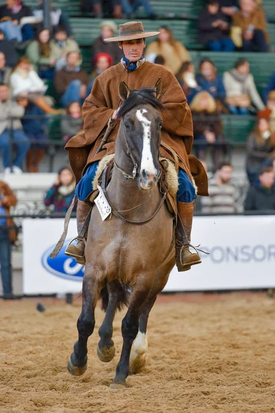 Gaucho bir binicilik