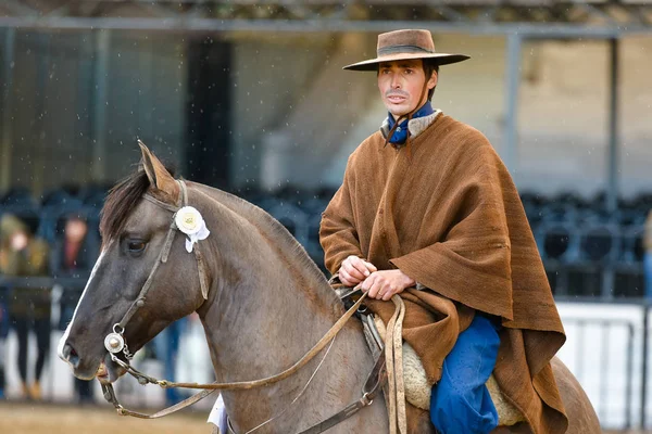 Gaucho bir binicilik