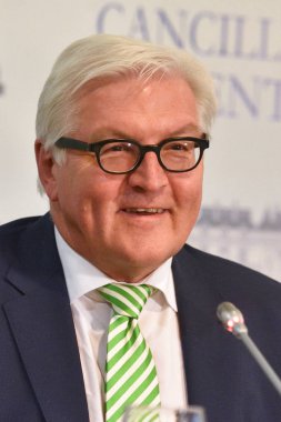 Frank-Walter Steinmeier bir basın toplantısı sırasında
