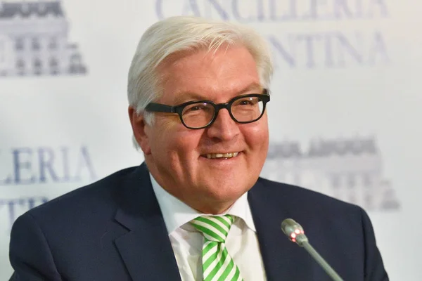 Frank-Walter Steinmeier bir basın toplantısı sırasında