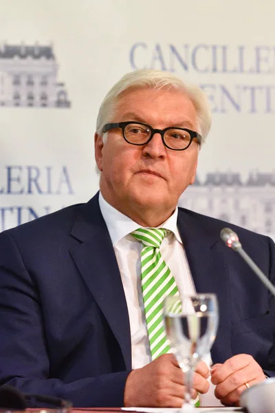 Frank-Walter Steinmeier bir basın toplantısı sırasında