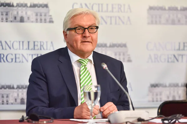 Frank-Walter Steinmeier bir basın toplantısı sırasında