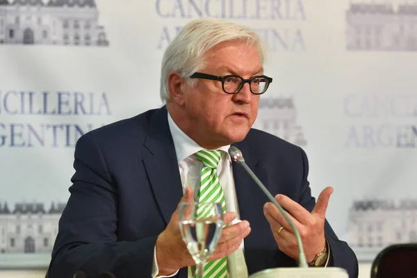 Frank-Walter Steinmeier bir basın toplantısı sırasında