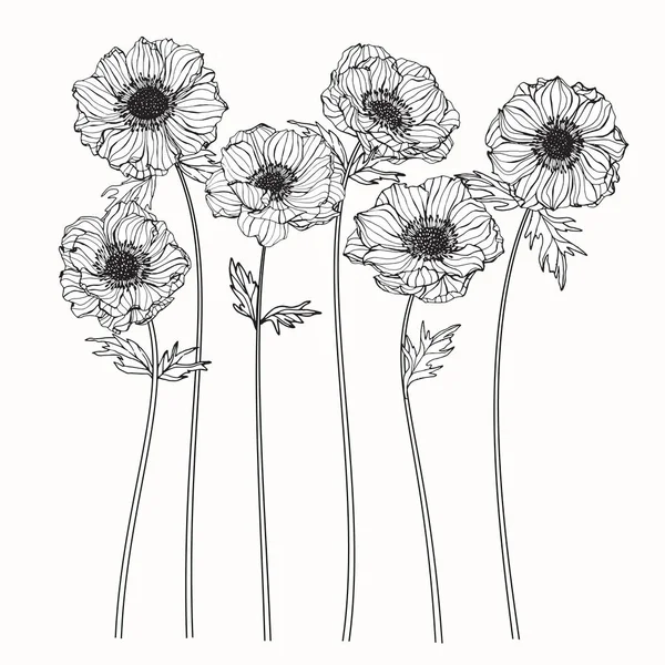 Рисунок и эскиз цветков анемоны с линейным искусством — стоковый вектор