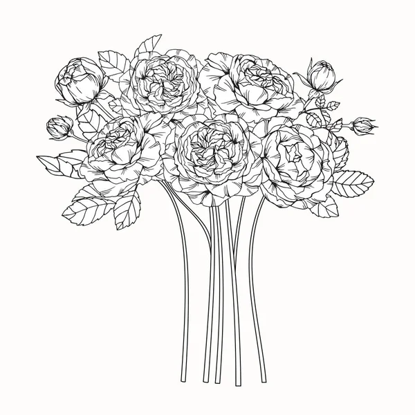 Flores de rosa desenho e esboço com linha-arte —  Vetores de Stock