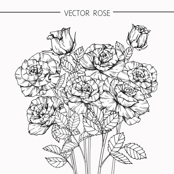 Rosa blommor rita och skissa med line-art — Stock vektor