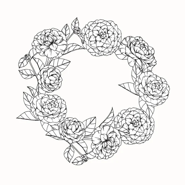 Camélia flores desenho e esboço com linha-arte — Vetor de Stock