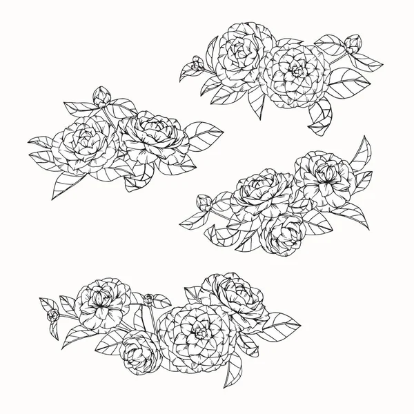 Květiny kamélie kreslení a náčrt s perokresba — Stockový vektor